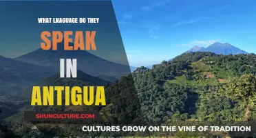 Discovering Antigua's Official Language: A Cultural and Historical Overview
