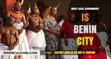 Exploring Benin City: A Deep Dive into Local Governance
