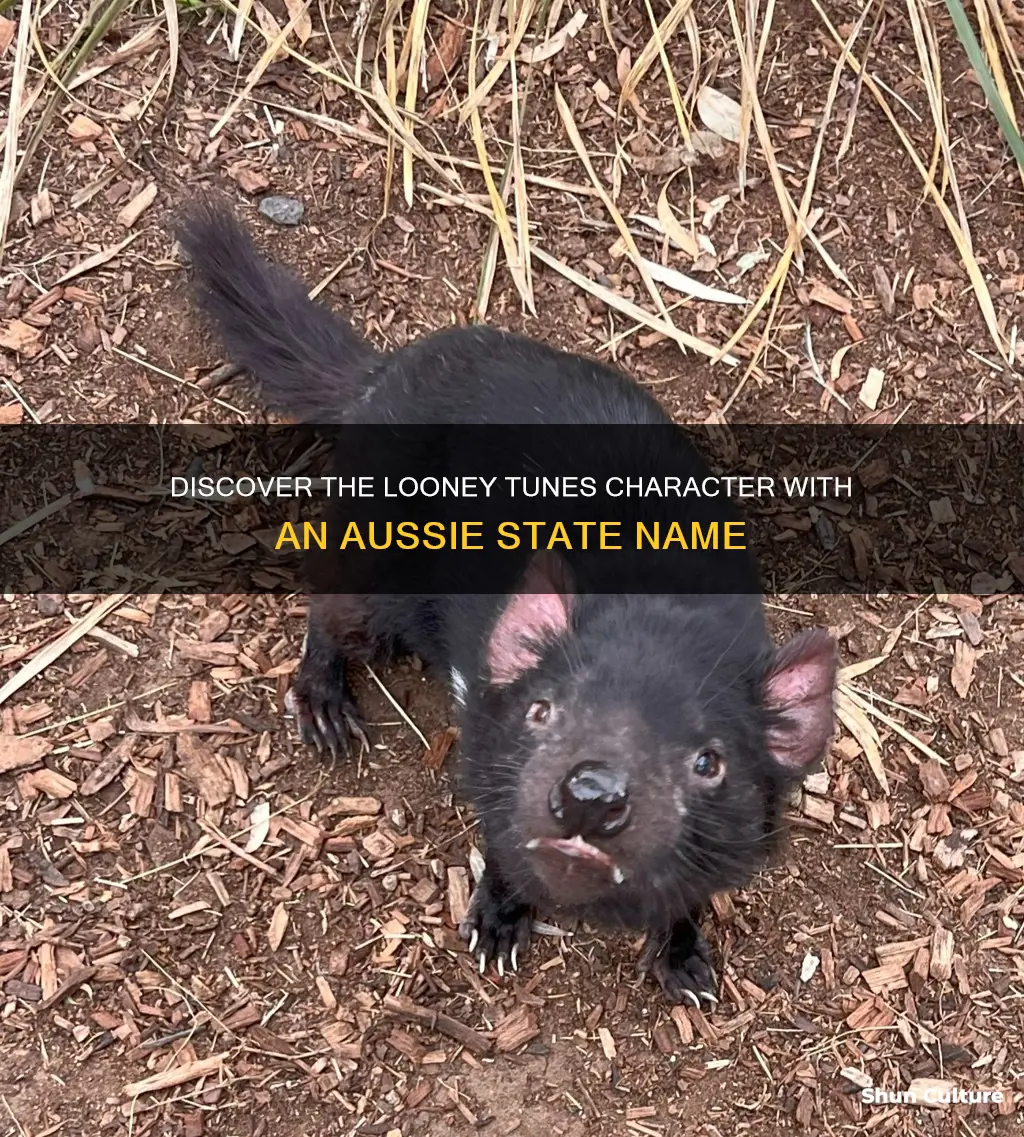 what looney toons characters name references an australian state