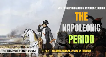 Austerity's Struggles: Austria's Napoleonic Losses and Their Impact