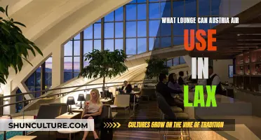 Austria's Lounge at LAX: A Guide to Comfort and Convenience