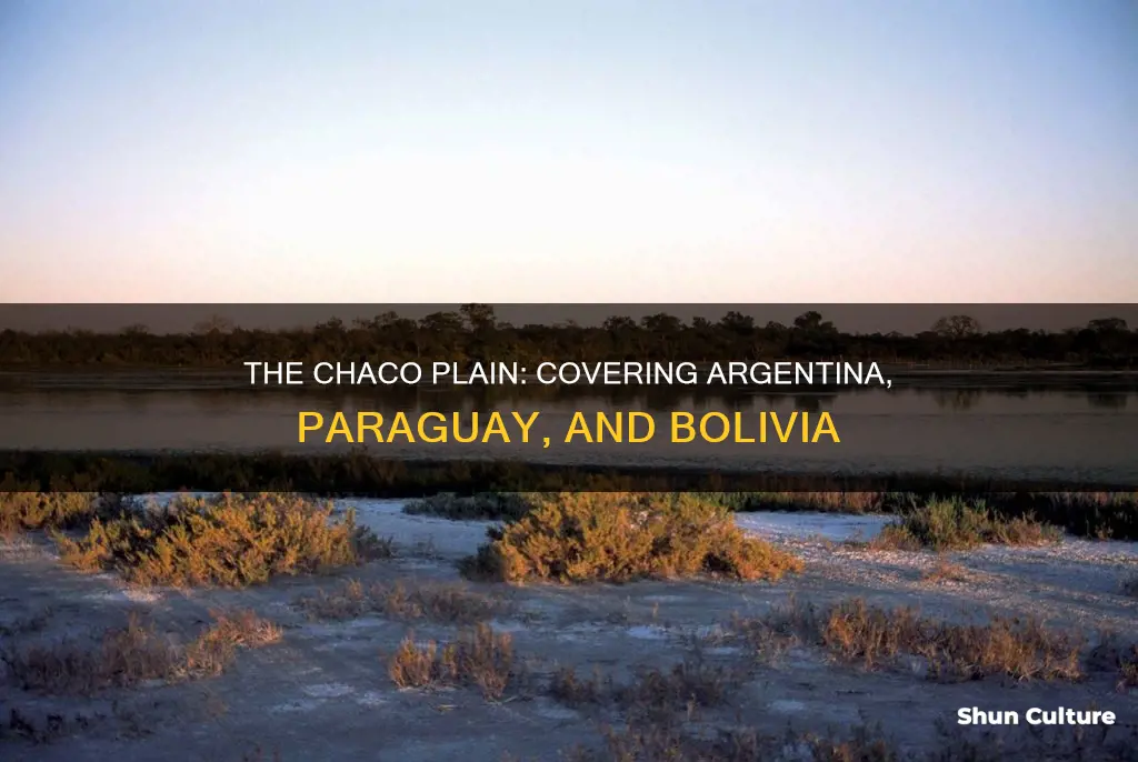 what low-lying plain covers parts of argentina paraguay and bolivia