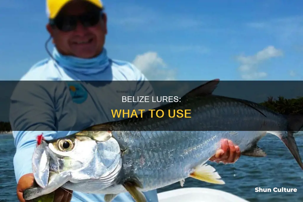 what lures to use in belize