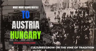 Serbia's Hostility: A Historical Analysis of Causes and Consequences