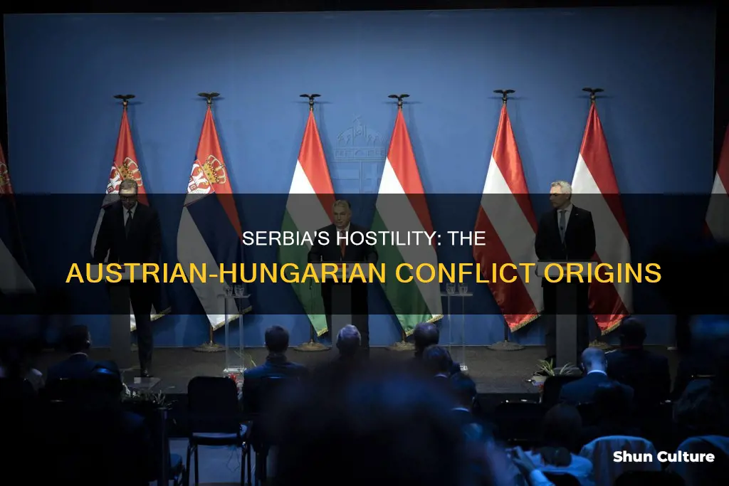 what made serbia hostile to austria hungary