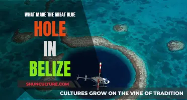 Belize's Blue Hole Mystery
