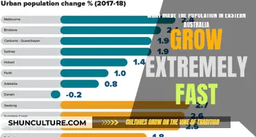Explosive Population Growth in Eastern Australia: Reasons Why