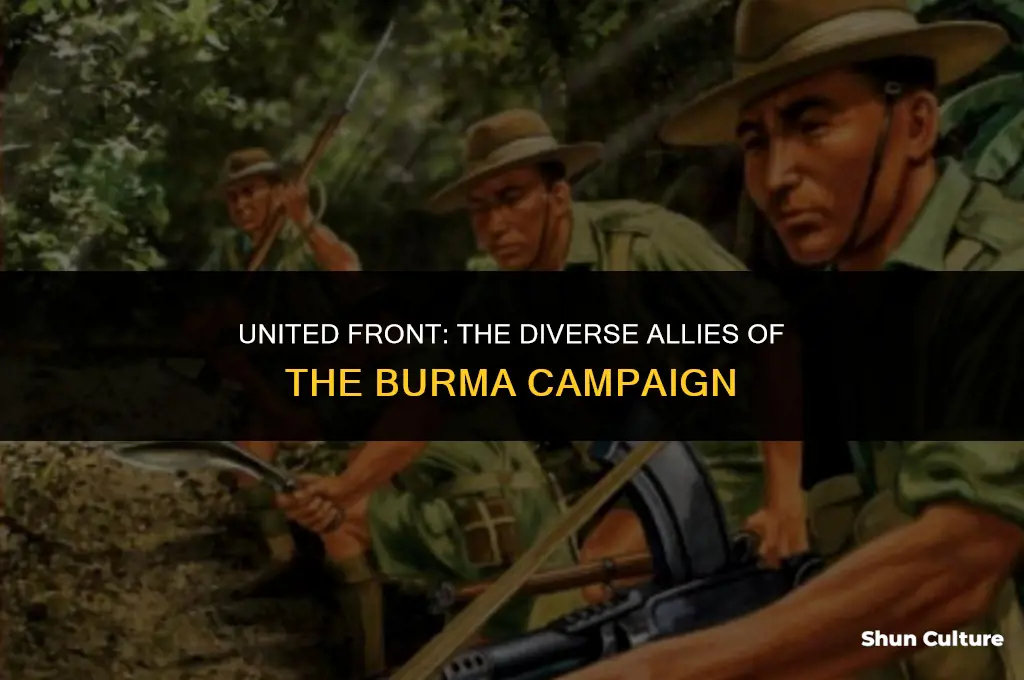 what made up the allies in the burma campaign