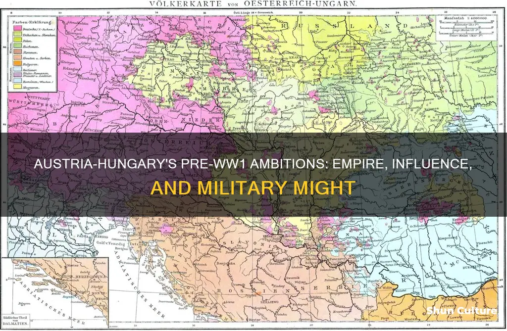 what major goals did austria hungry have before ww1