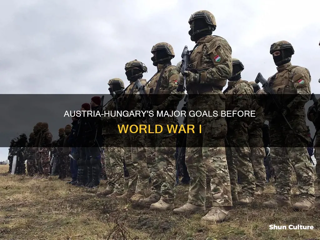 what major goals did austria hungry have before ww1