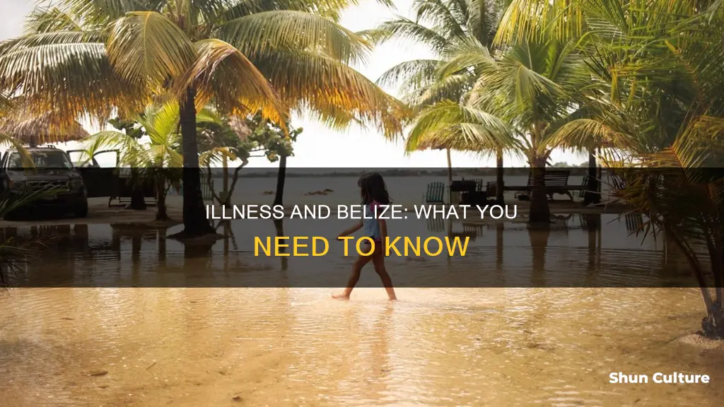 what major illness should one not go to belize with