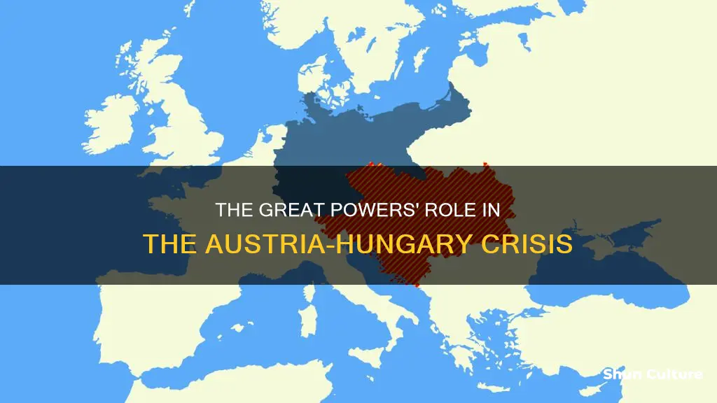 what major powers backed austria hungary