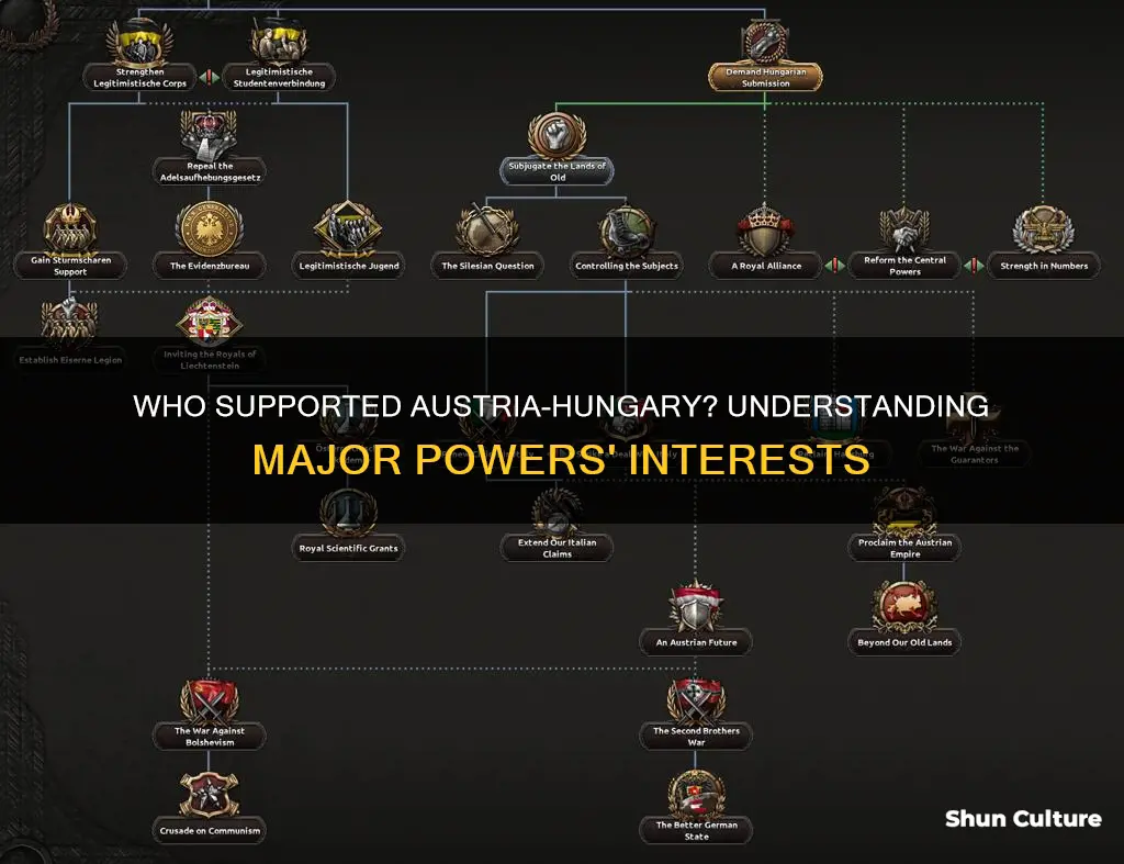 what major powers backed austria hungary