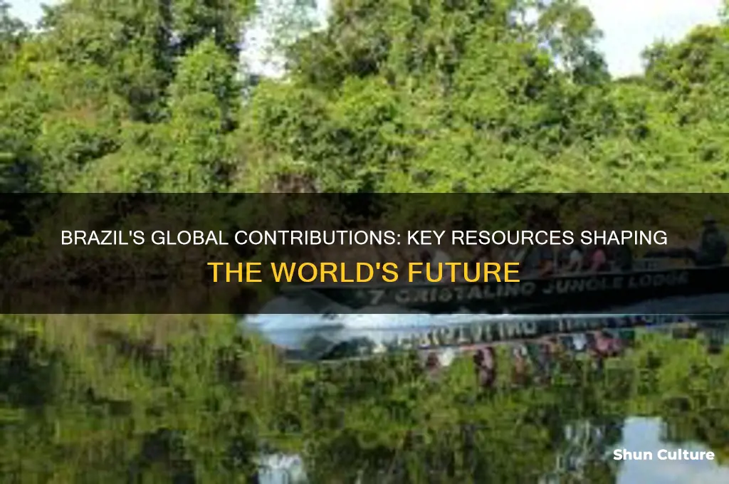 what major resources does brazil have to offer the world