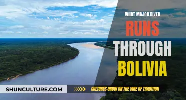 Exploring Bolivia's Lifeline: The Mighty Amazon-Paraná River System