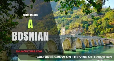 Cultural Identity, Heritage, and Traditions: Unveiling the Essence of Being Bosnian