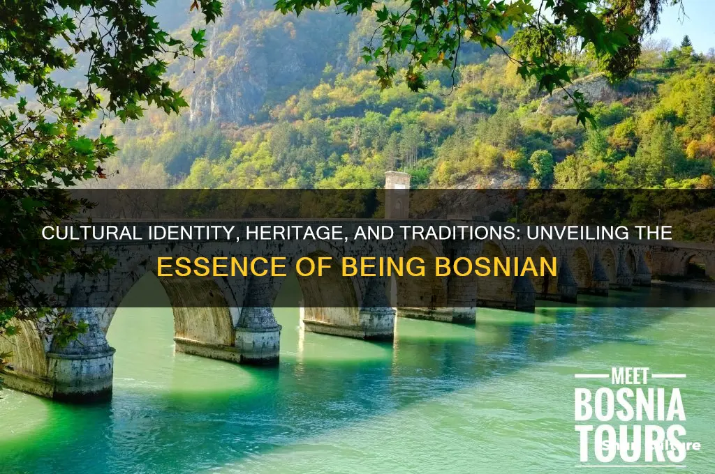 what makes a bosnian