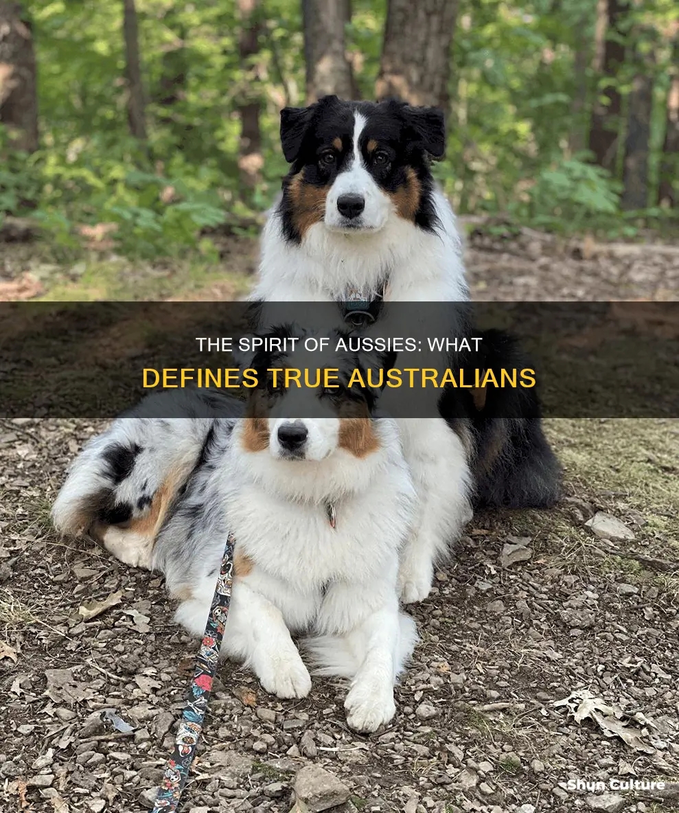 what makes a true australian
