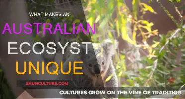 Australian Ecosystems: Unique Wildlife and Natural Diversity