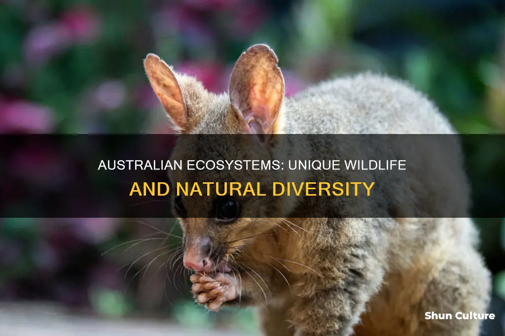 what makes an australian ecosystem unique