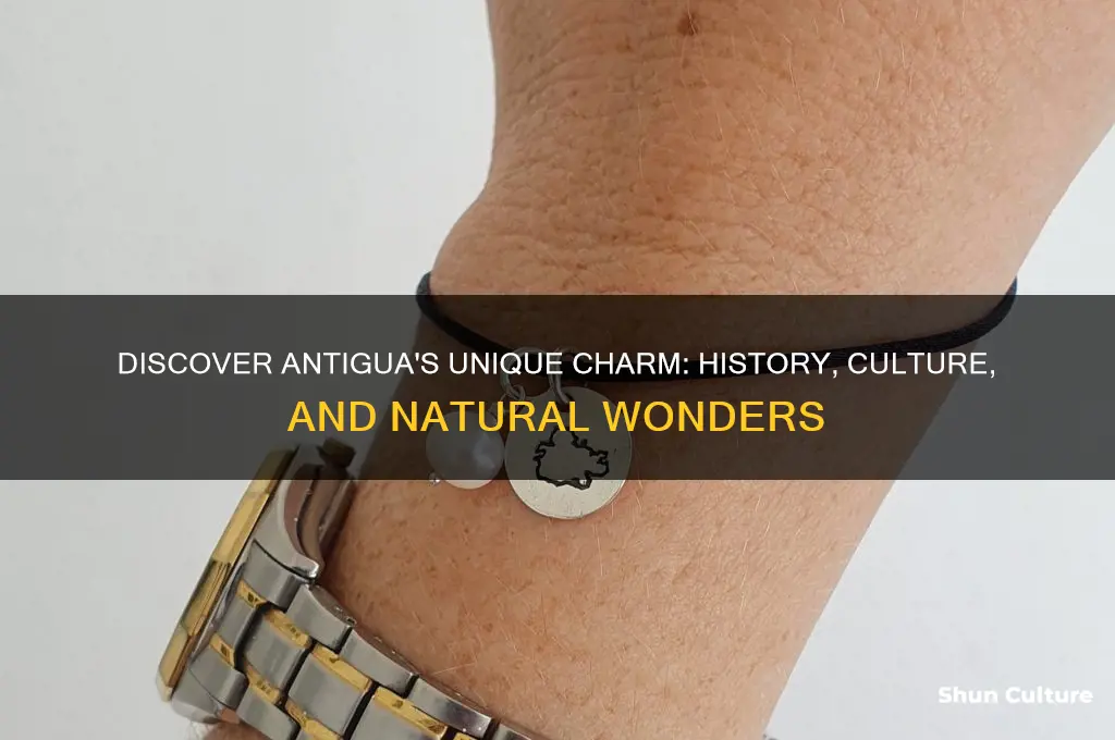 what makes antigua unique