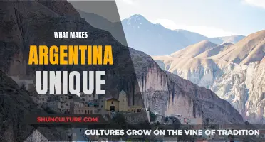 Exploring Argentina's Unique Cultural Tapestry and Natural Wonders