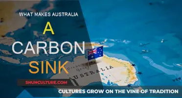 Australia's Carbon Sink: A Natural Climate Solution