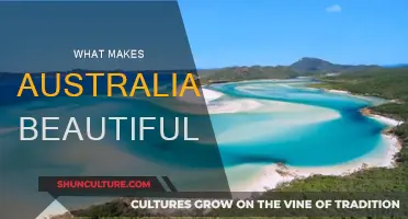 The Natural Splendor of Australia's Unique Wildlife and Scenery