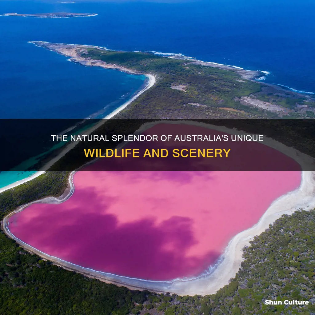 what makes australia beautiful