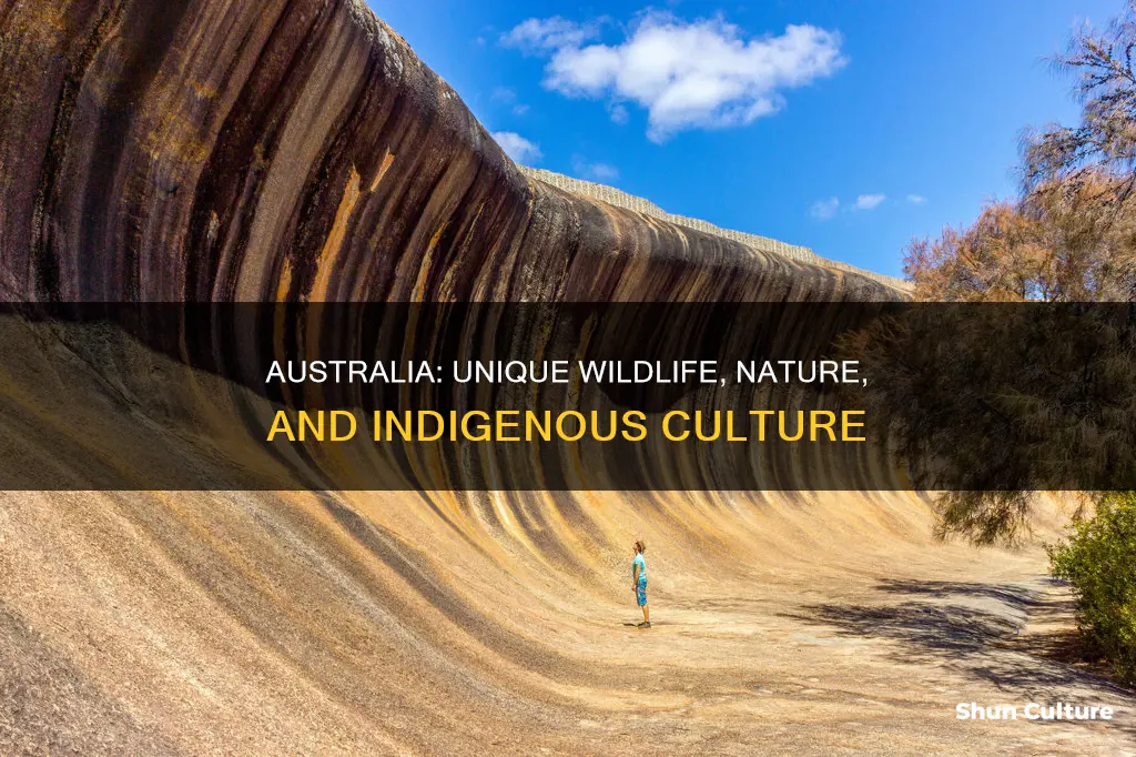 what makes australia different from other continents