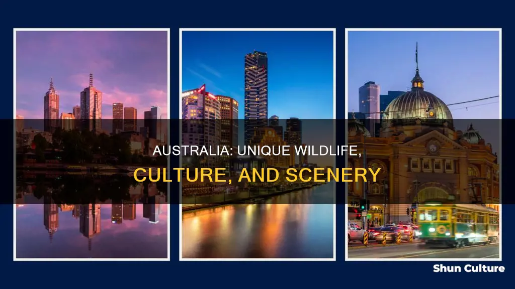 what makes australia different from other countries