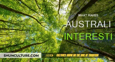 Australia's Unique Charm: What Makes It So Interesting?
