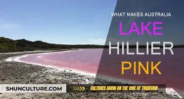 The Pink Lake Mystery: Why is Lake Hillier Pink?