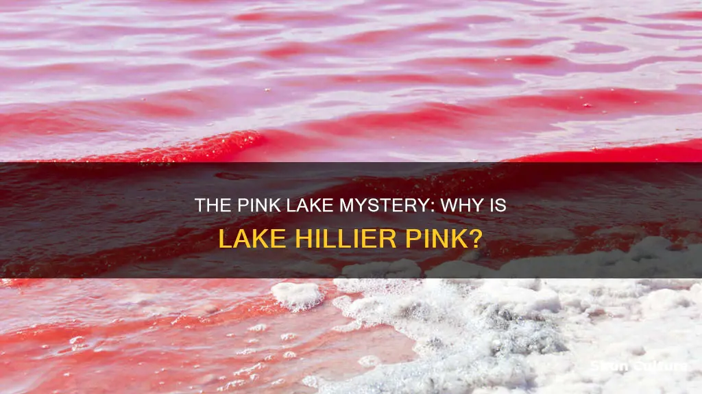 what makes australia lake hillier pink