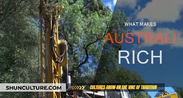 Wealth Down Under: Australia's Richness Explained