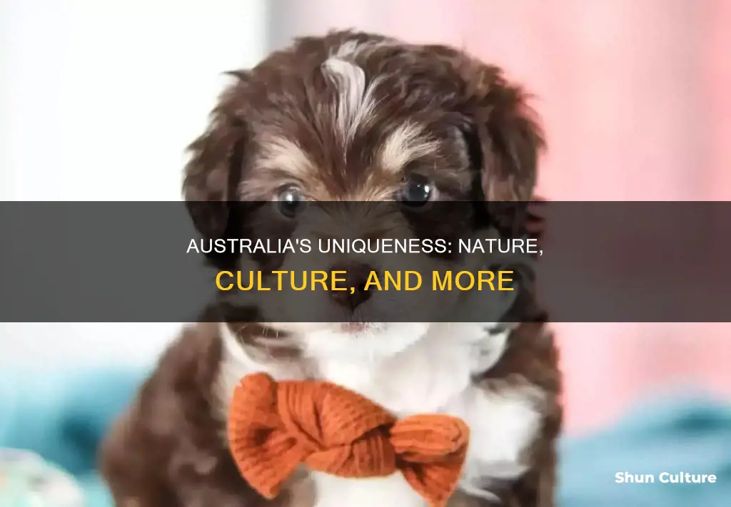 what makes australia unique essay