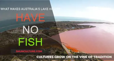 Lake Hillier's Fishless Mystery: What's the Reason?