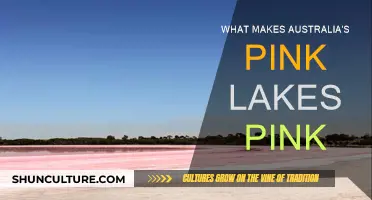 The Pink Lakes Mystery: Australia's Natural Wonder