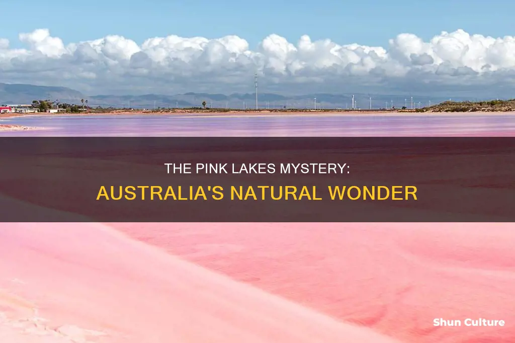 what makes australia