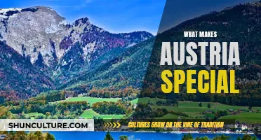 A Country of Contrasts: Unveiling Austria's Unique Charm