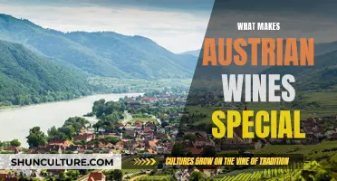 Unveiling Austria's Unique Wine Charm: A Tasting Journey