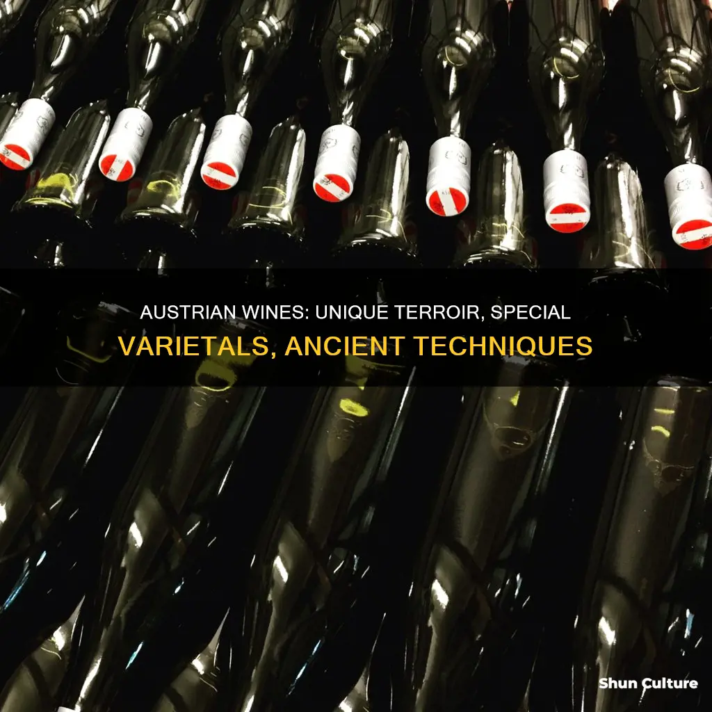 what makes austrian wines special
