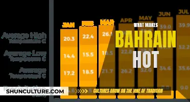 Bahrain's Heat: Unique Climate Characteristics Explained