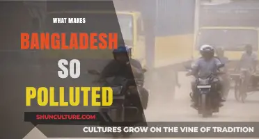 Unveiling Bangladesh's Pollution Crisis: Causes, Impacts, and Urgent Solutions