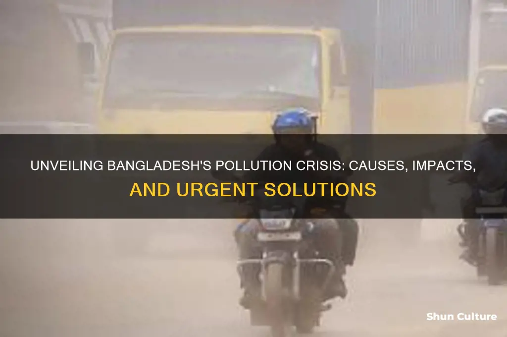 what makes bangladesh so polluted