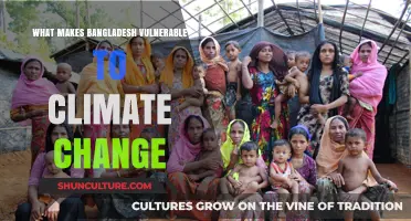 Bangladesh's Climate Crisis: Geography, Poverty, and Rising Sea Levels