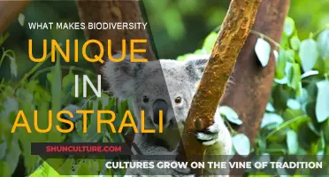 Australia's Biodiversity: Unique, Ancient, and Isolated