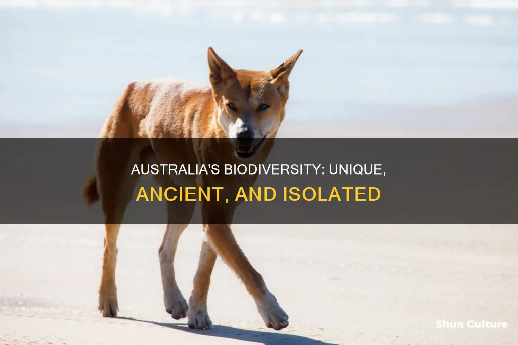 what makes biodiversity unique in australia