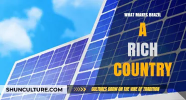 Brazil's Wealth: Natural Resources, Culture, and Economic Power Explained