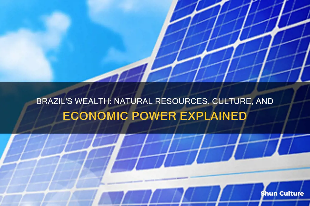 what makes brazil a rich country